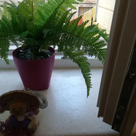 Гостевой дом Inchy - In The Center Of Diocletian's Palace Сплит