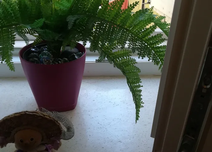 Guest house Inchy - In The Center Of Diocletian's Palace Split